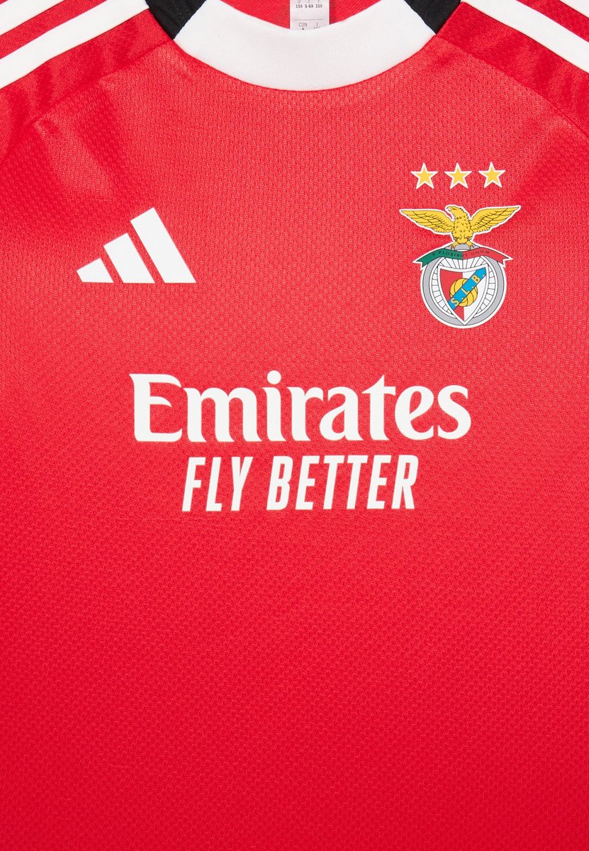 SL Benfica Kinder Trikot Set Rot #10 #3